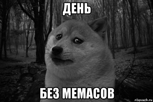 день без мемасов