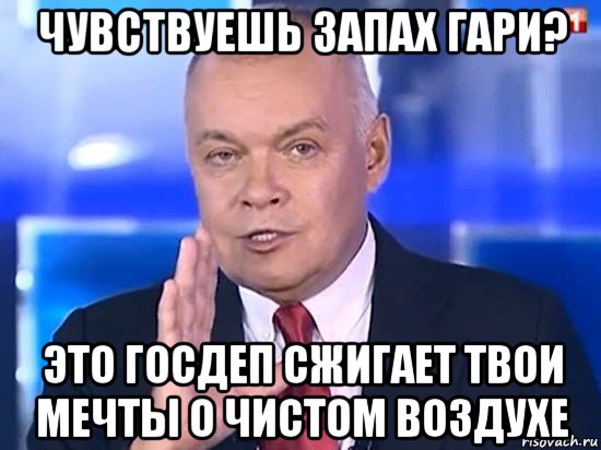 чувствуешь запах гари? это госдеп сжигает твои мечты о чистом воздухе, Мем Киселёв 2014