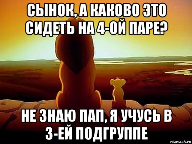 сынок, а каково это сидеть на 4-ой паре? не знаю пап, я учусь в 3-ей подгруппе, Мем  король лев