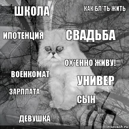 ШКОЛА УНИВЕР СВАДЬБА ДЕВУШКА ВОЕНКОМАТ КАК БЛ*ТЬ ЖИТЬ СЫН ИПОТЕНЦИЯ ЗАРПЛАТА ОХ*ЕННО ЖИВУ!, Комикс  кот безысходность