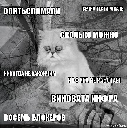 опятьсломали нифига не работает сколько можно восемь блокеров никогда не закончим вечно тестировать виновата инфра   , Комикс  кот безысходность