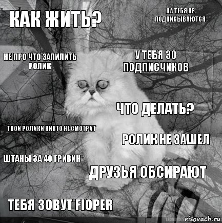 Как жить? Ролик не зашел У тебя 30 подписчиков Тебя зовут Fioper Твои ролики никто не смотрит На тебя не подписываются Друзья обсирают Не про что запилить ролик Штаны за 40 гривин Что делать?, Комикс  кот безысходность