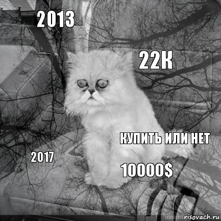 2013 Купить или нет 22к    10000$  2017 , Комикс  кот безысходность