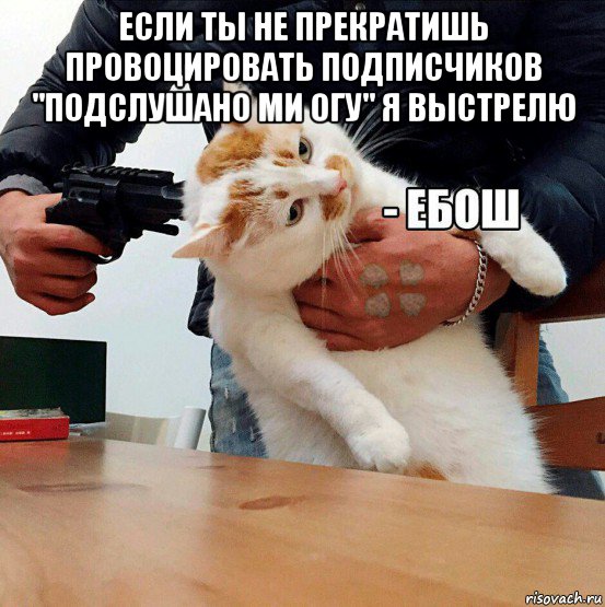 Нужен стреляй. Ебош Мем. Котик ебош. Мем кот ебош. Картинка с котом ебош.