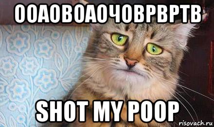 ооаовоаочоврвртв shot my poop, Мем  кот печаль