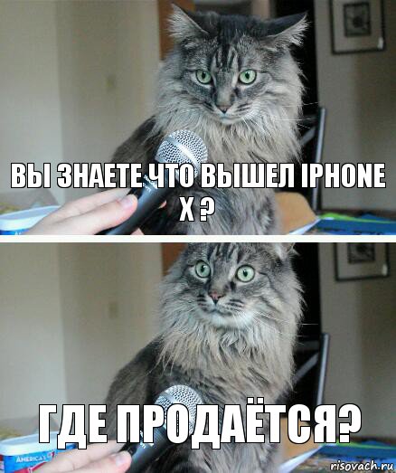 Вы знаете что вышел iPhone X ? Где продаётся?, Комикс  кот с микрофоном