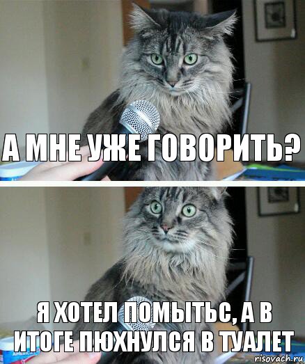 А мне уже говорить? Я хотел помытьс, а в итоге пюхнулся в туалет, Комикс  кот с микрофоном