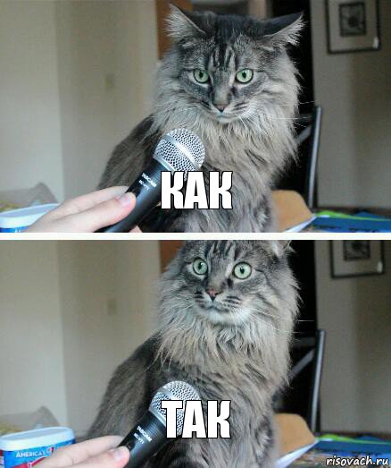КАК ТАК, Комикс  кот с микрофоном