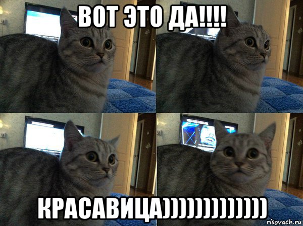 вот это да!!!! красавица)))))))))))))