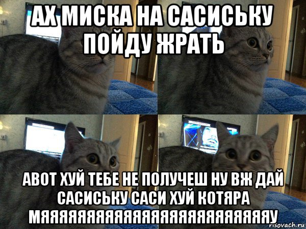 ах миска на сасиську пойду жрать авот хуй тебе не получеш ну вж дай сасиську саси хуй котяра мяяяяяяяяяяяяяяяяяяяяяяяяяу