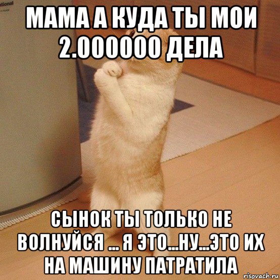 мама а куда ты мои 2.000000 дела сынок ты только не волнуйся ... я это...ну...это их на машину патратила, Мем  котэ молится