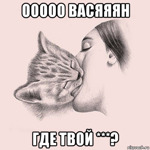 ооооо васяяян где твой ***?, Мем котосекс