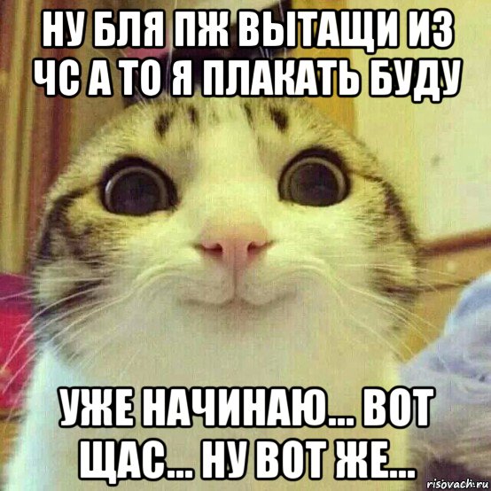 ну бля пж вытащи из чс а то я плакать буду уже начинаю... вот щас... ну вот же..., Мем       Котяка-улыбака