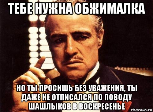 тебе нужна обжималка но ты просишь без уважения, ты даже не отписался по поводу шашлыков в воскресенье, Мем крестный отец