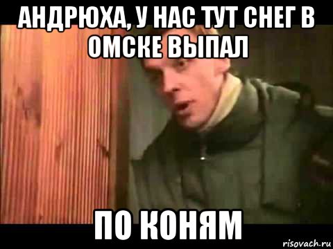 андрюха, у нас тут снег в омске выпал по коням, Мем Ларин по коням