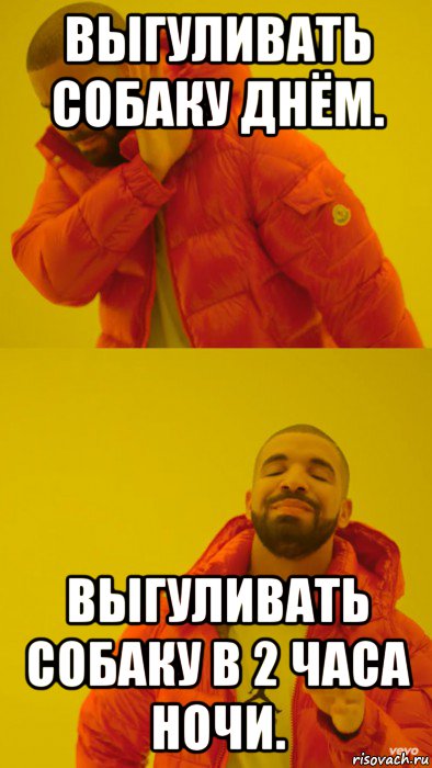 выгуливать собаку днём. выгуливать собаку в 2 часа ночи.