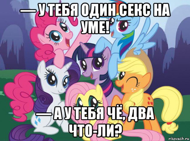 — у тебя один секс на уме! — а у тебя чё, два что-ли?, Мем My little pony