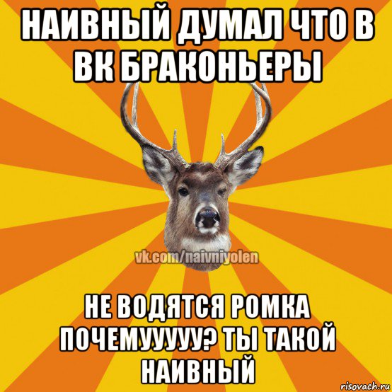 наивный думал что в вк браконьеры не водятся ромка почемууууу? ты такой наивный