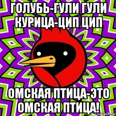 голубь-гули гули курица-цип цип омская птица-это омская птица!, Мем Омская птица