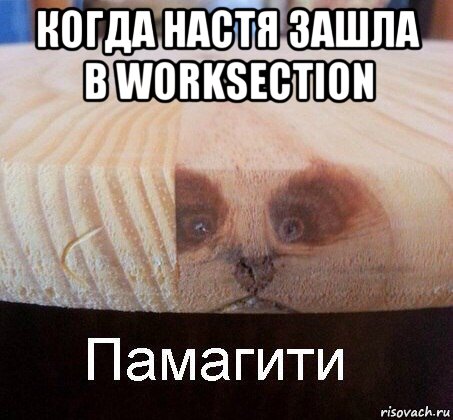 когда настя зашла в worksection , Мем   Памагити