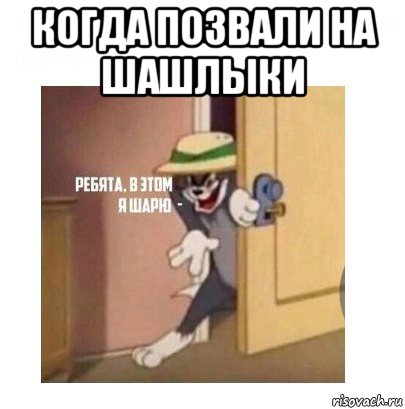 когда позвали на шашлыки , Мем Ребята я в этом шарю