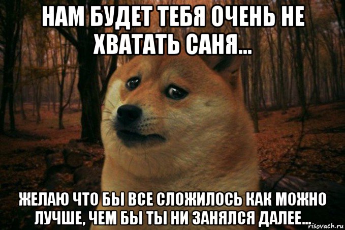 Этот день был не очень