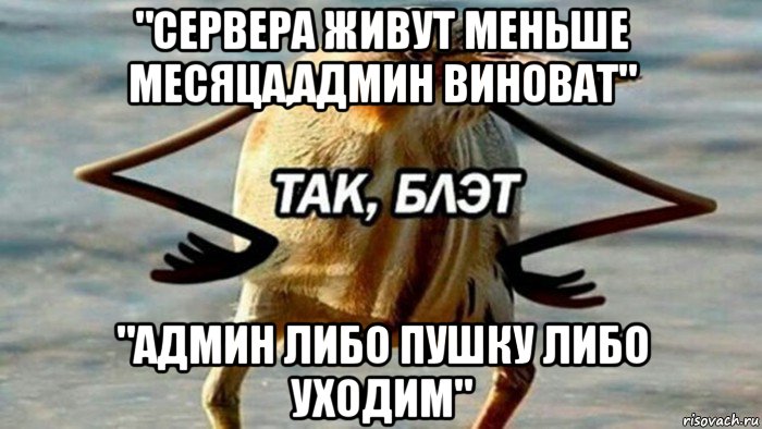 "сервера живут меньше месяца,админ виноват" "админ либо пушку либо уходим", Мем  Так блэт