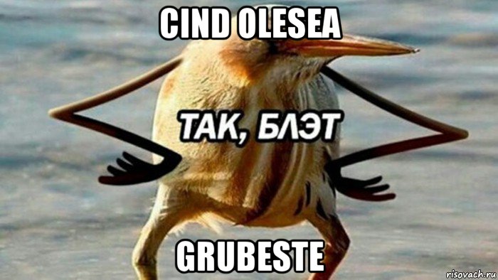 cind olesea grubeste, Мем  Так блэт