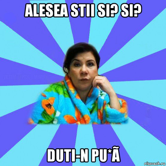 alesea stii si? si? duti-n pu*ã, Мем типичная мама