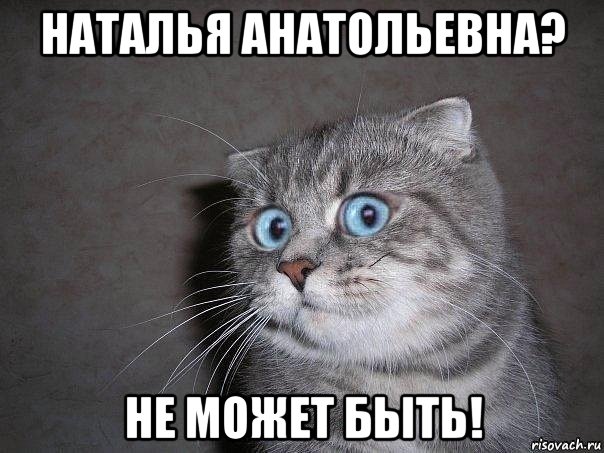 наталья анатольевна? не может быть!, Мем  удивлённый кот