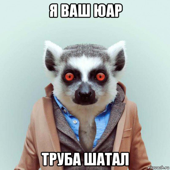 http://risovach.ru/upload/2017/11/mem/ukurennyy-lemur_162158103_orig_.jpg
