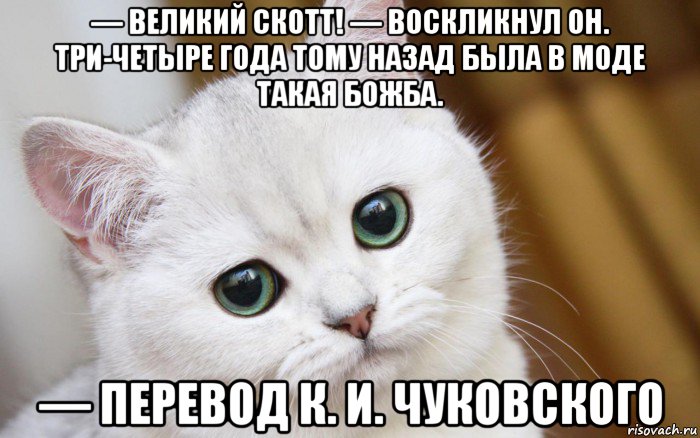 — великий скотт! — воскликнул он. три-четыре года тому назад была в моде такая божба. — перевод к. и. чуковского, Мем  В мире грустит один котик