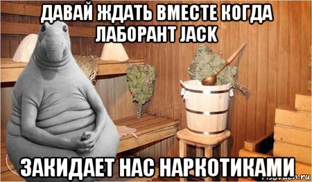 давай ждать вместе когда лаборант jack закидает нас наркотиками