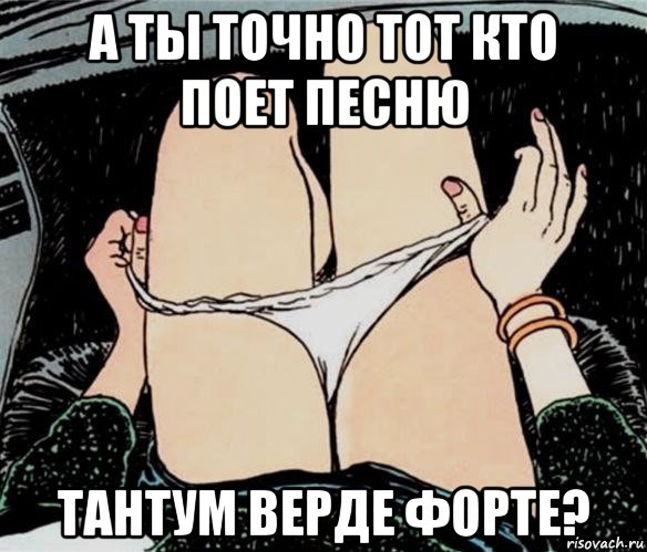 а ты точно тот кто поет песню тантум верде форте?, Мем А ты точно