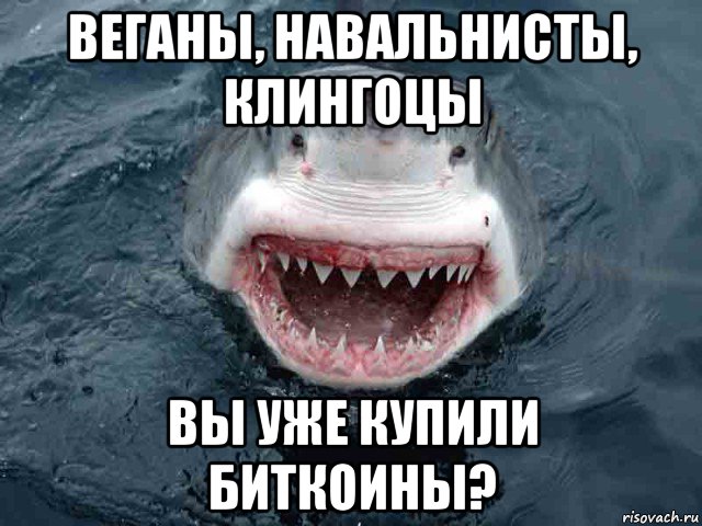 Пон акула мем. Акула Мем. Мемы про акул. Мемы про акул на русском. Ниппон акула Мем.
