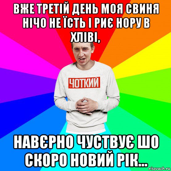 вже третій день моя свиня нічо не їсть і риє нору в хліві, навєрно чуствує шо скоро новий рік..., Мем Чоткий