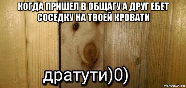 когда пришел в общагу а друг ебет соседку на твоей кровати , Мем  Дратути