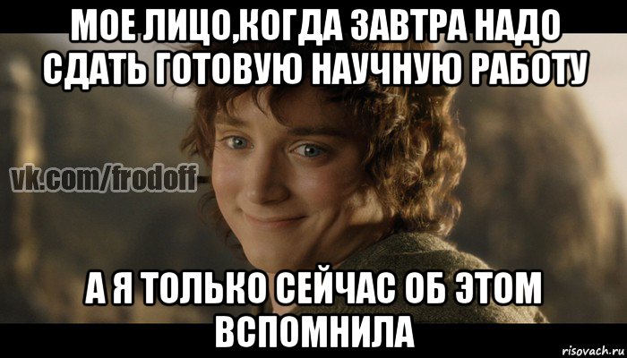 мое лицо,когда завтра надо сдать готовую научную работу а я только сейчас об этом вспомнила, Мем  Фродо