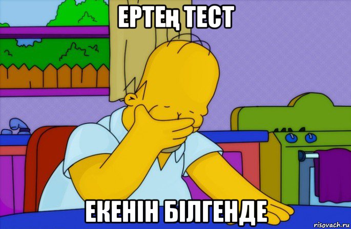 ертең тест екенін білгенде, Мем Homer simpson facepalm