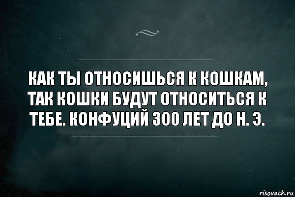 Как ты относишься к кошкам, так кошки будут относиться к тебе. Конфуций 300 лет до н. Э., Комикс Игра Слов