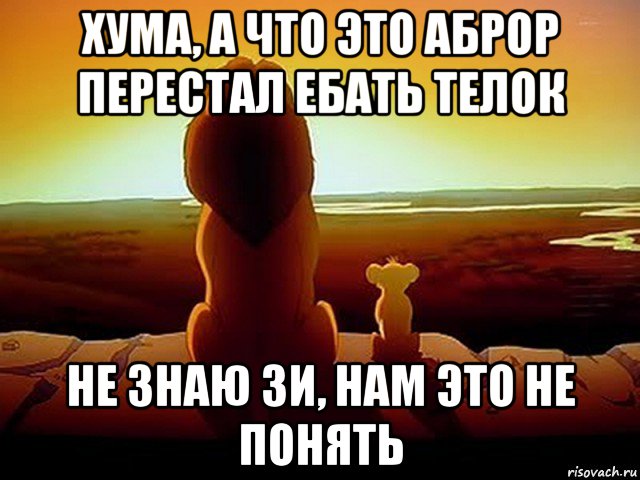 хума, а что это аброр перестал ебать телок не знаю зи, нам это не понять, Мем  король лев