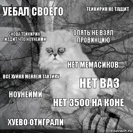 уебал своего нет ваз опять не взял провинцию хуево отиграли все хуйня меняем тактику тейкирин не тащит нет 3500 на коне снова тейкирин пиздит что ноунейми ноунейми нет мемасиков, Комикс  кот безысходность