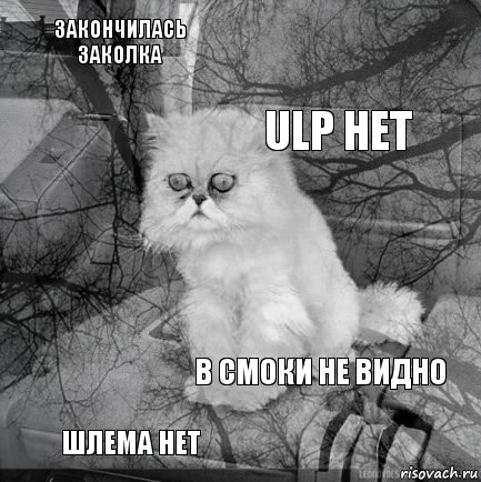 Закончилась заколка  ULP нет Шлема нет   В смоки не видно   , Комикс  кот безысходность