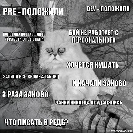 pre - положили и начали заново бой не работает с персонального что писать в реде? залили всё, кроме 4 таблиц dev - положили чанки никогда не удалялись половина поставщиков не работают с локала 3 раза заново хочется кушать, Комикс  кот безысходность