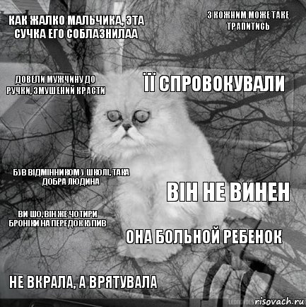 Как жалко мальчика, эта сучка его соблазнилаа він не винен її спровокували не вкрала, а врятувала Був відмінником у школі, така добра людина З кожним може таке трапитись она больной ребенок Довели мужчину до ручки, змушений красти Ви шо, він же чотири броніки на передок купив , Комикс  кот безысходность