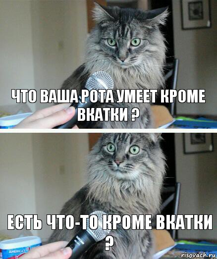 Что ваша рота умеет кроме вкатки ? Есть что-то кроме вкатки ?, Комикс  кот с микрофоном