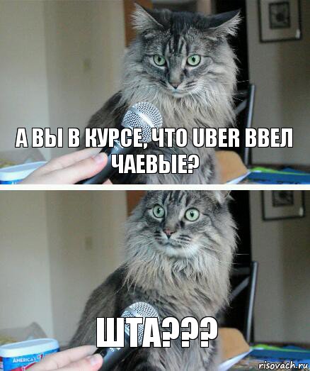 А ВЫ В КУРСЕ, ЧТО UBER ВВЕЛ ЧАЕВЫЕ? ШТА???, Комикс  кот с микрофоном