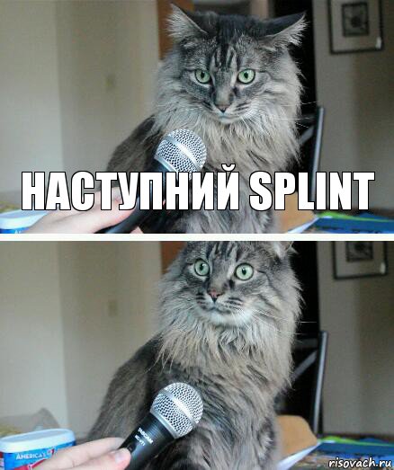 наступний splint , Комикс  кот с микрофоном