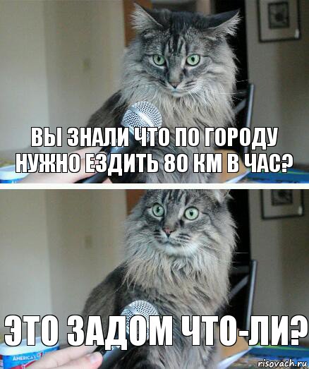 вы знали что по городу нужно ездить 80 км в час? это задом что-ли?, Комикс  кот с микрофоном