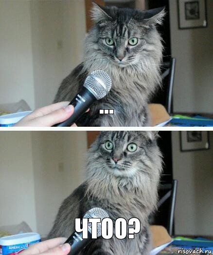 ... чтоо?, Комикс  кот с микрофоном